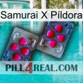 Samurai X Píldora 15